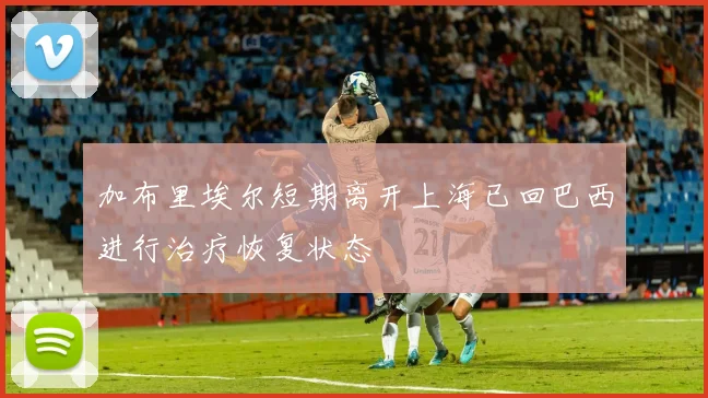 加布里埃尔短期离开上海已回巴西进行治疗恢复状态